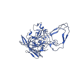 23202_7l6e_M_v1-1
The genome-containing AAV11 capsid