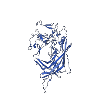 23202_7l6e_O_v1-1
The genome-containing AAV11 capsid