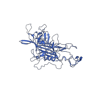 23202_7l6e_Q_v1-1
The genome-containing AAV11 capsid