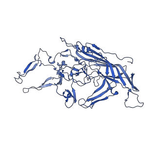 23202_7l6e_R_v1-1
The genome-containing AAV11 capsid