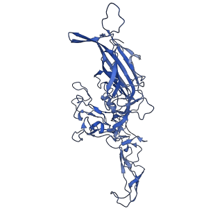 23202_7l6e_S_v1-1
The genome-containing AAV11 capsid