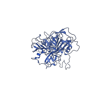 23202_7l6e_U_v1-0
The genome-containing AAV11 capsid