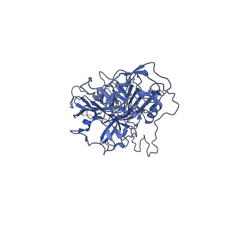 23202_7l6e_U_v1-1
The genome-containing AAV11 capsid