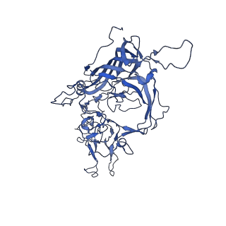 23202_7l6e_V_v1-0
The genome-containing AAV11 capsid