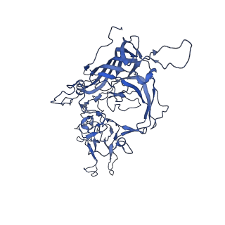 23202_7l6e_V_v1-1
The genome-containing AAV11 capsid