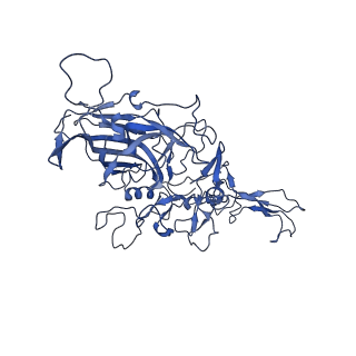 23202_7l6e_W_v1-1
The genome-containing AAV11 capsid