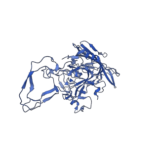 23202_7l6e_X_v1-1
The genome-containing AAV11 capsid