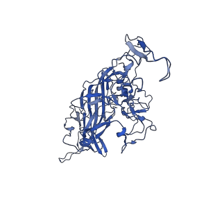 23202_7l6e_Y_v1-1
The genome-containing AAV11 capsid