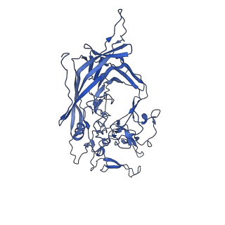 23202_7l6e_Z_v1-1
The genome-containing AAV11 capsid