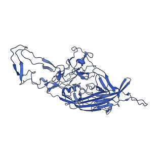 23202_7l6e_b_v1-1
The genome-containing AAV11 capsid