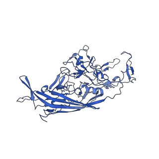 23202_7l6e_c_v1-1
The genome-containing AAV11 capsid