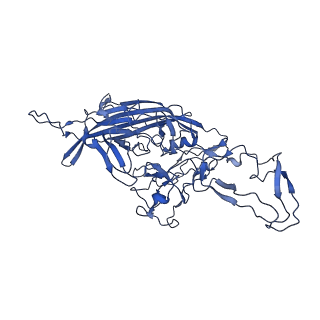 23202_7l6e_e_v1-1
The genome-containing AAV11 capsid