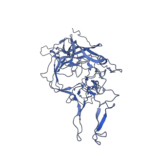 23202_7l6e_g_v1-1
The genome-containing AAV11 capsid