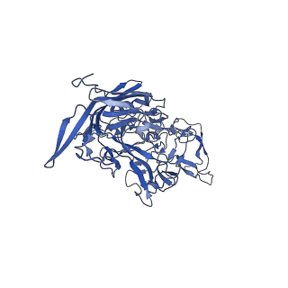 23202_7l6e_h_v1-1
The genome-containing AAV11 capsid