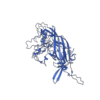 23202_7l6e_i_v1-0
The genome-containing AAV11 capsid