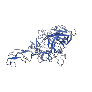 23202_7l6e_k_v1-1
The genome-containing AAV11 capsid