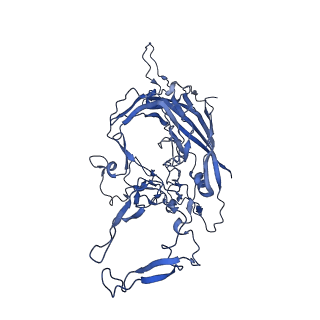 23202_7l6e_l_v1-1
The genome-containing AAV11 capsid