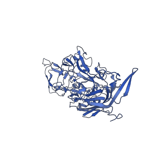 23202_7l6e_o_v1-0
The genome-containing AAV11 capsid