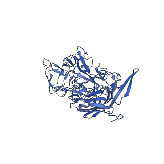 23202_7l6e_o_v1-1
The genome-containing AAV11 capsid