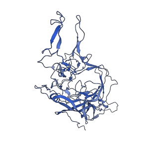 23202_7l6e_p_v1-1
The genome-containing AAV11 capsid