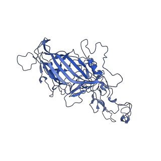 23202_7l6e_t_v1-1
The genome-containing AAV11 capsid