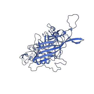 23202_7l6e_u_v1-0
The genome-containing AAV11 capsid