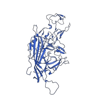 23202_7l6e_v_v1-0
The genome-containing AAV11 capsid