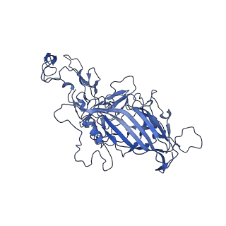 23202_7l6e_w_v1-1
The genome-containing AAV11 capsid