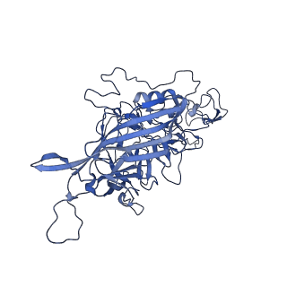 23202_7l6e_x_v1-1
The genome-containing AAV11 capsid