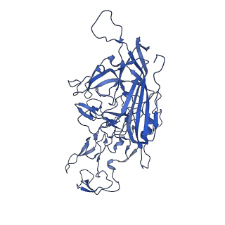 23202_7l6e_y_v1-1
The genome-containing AAV11 capsid