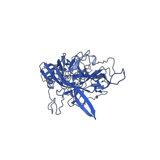 23202_7l6e_z_v1-1
The genome-containing AAV11 capsid