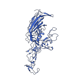 23203_7l6f_2_v1-1
The empty AAV11 capsid