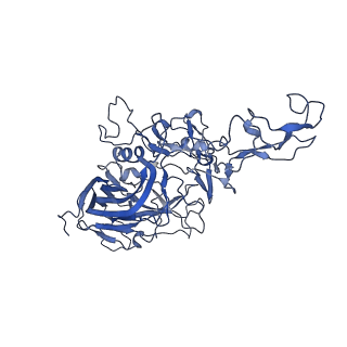 23203_7l6f_6_v1-1
The empty AAV11 capsid