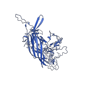 23203_7l6f_7_v1-1
The empty AAV11 capsid