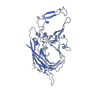 23203_7l6f_8_v1-1
The empty AAV11 capsid