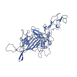 23203_7l6f_G_v1-1
The empty AAV11 capsid