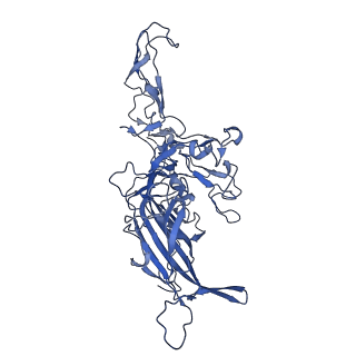 23203_7l6f_J_v1-1
The empty AAV11 capsid