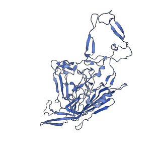 23203_7l6f_P_v1-1
The empty AAV11 capsid