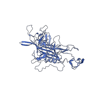 23203_7l6f_Q_v1-1
The empty AAV11 capsid