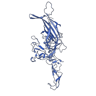 23203_7l6f_S_v1-1
The empty AAV11 capsid