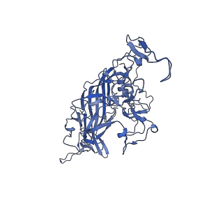 23203_7l6f_Y_v1-1
The empty AAV11 capsid