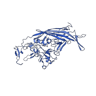 23203_7l6f_f_v1-1
The empty AAV11 capsid