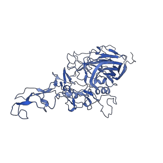 23203_7l6f_k_v1-1
The empty AAV11 capsid