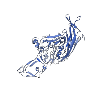 23203_7l6f_m_v1-1
The empty AAV11 capsid