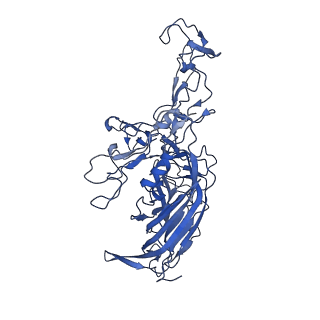 23203_7l6f_r_v1-1
The empty AAV11 capsid