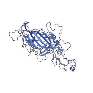 23203_7l6f_t_v1-1
The empty AAV11 capsid