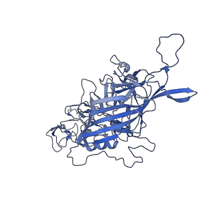 23203_7l6f_u_v1-1
The empty AAV11 capsid