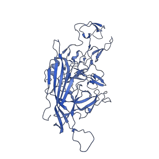 23203_7l6f_v_v1-1
The empty AAV11 capsid