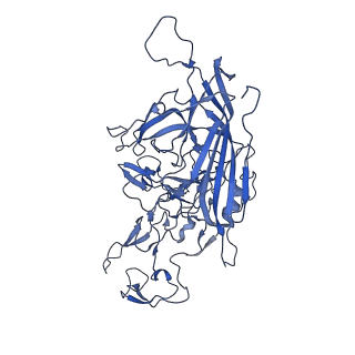 23203_7l6f_y_v1-1
The empty AAV11 capsid