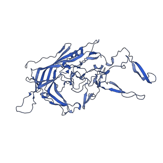 23204_7l6h_1_v1-1
The genome-containing AAV13 capsid